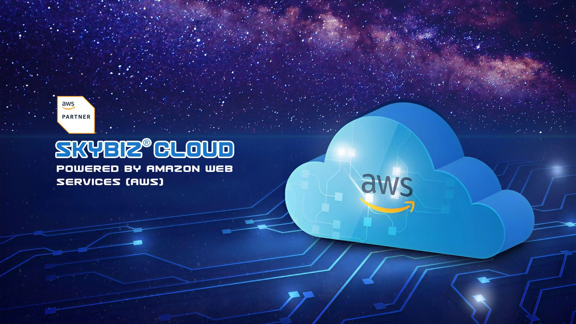 SKYBIZ Cloud Accounting powered by AWS