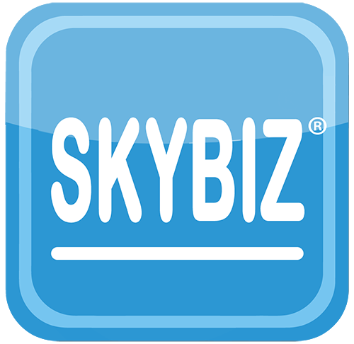 SKYBIZ Logo